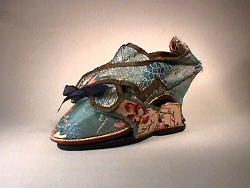 woman's silk shoe