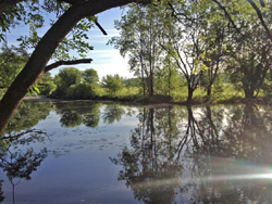 Danks Pond, Arcadia Wildlife Sanctuary